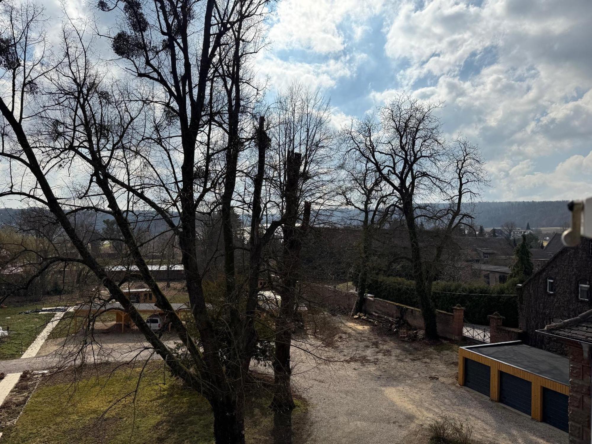 Schloss Zingst Querfurt ภายนอก รูปภาพ